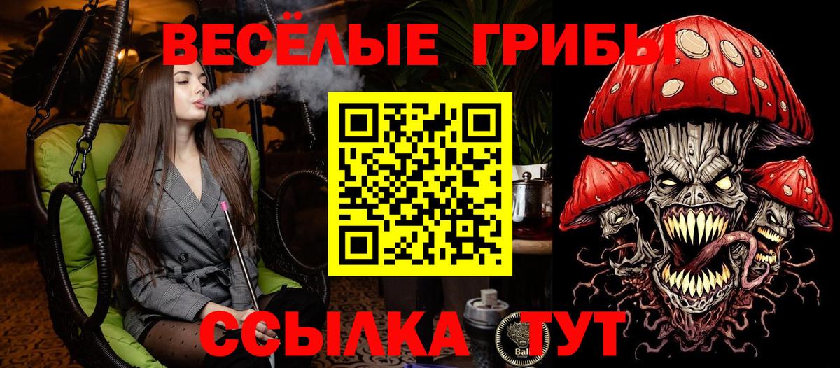 Галлюциногенные грибы мицелий Калуга