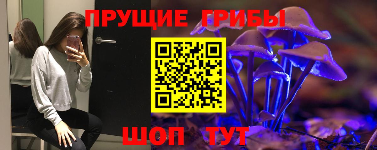 Галлюциногенные грибы Cubensis  Псилоцибиновые грибы GOLDEN TEACHER  Калуга  Вход с VPN 